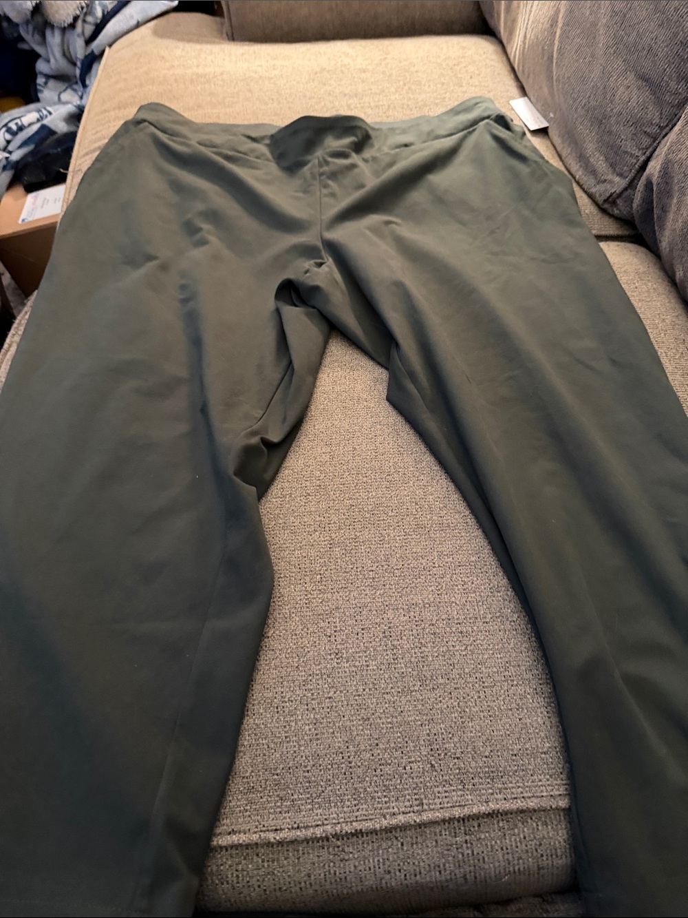 Zac & Rachel Dark Olive Green Jogger Pants
